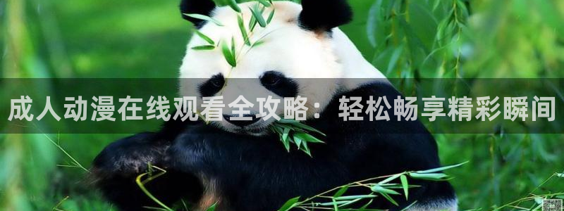 囧次元官方app下载