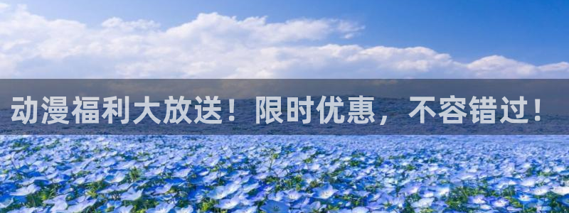 囧次元最新版本：动漫福利大放送！限时优惠，不容错过！