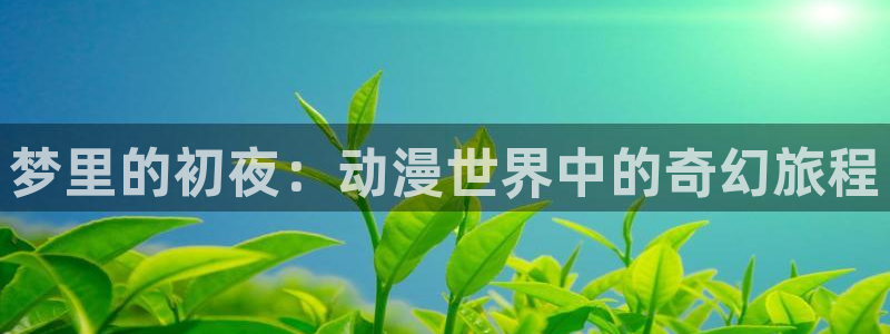 囧次元官方网站入口：梦里的初夜：动漫世界中的奇幻旅程