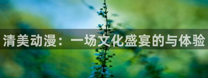 囧次元更新：清美动漫：一场文化盛宴的与体验