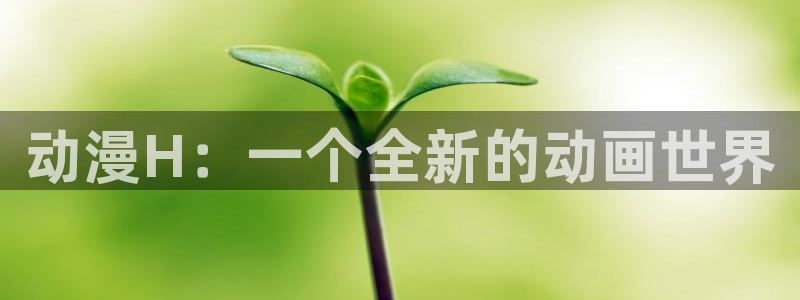 囧次元免费看动漫：动漫H：一个全新的动画世界