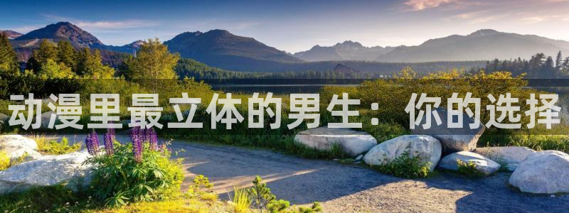 囧次元无广告：动漫里最立体的男生：你的选择
