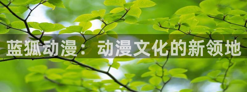 囧次元看动漫：蓝狐动漫：动漫文化的新领地